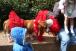 resIMG_20080127_3806.JPG